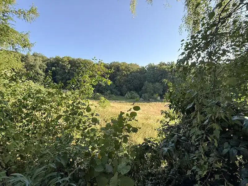 Freistehendes-Wohnhaus-Glattbach-2026-Ausblick-Gartenende
